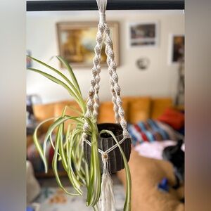 Beige Macrame Plant Hanger